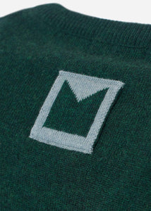 Maglione scollo V in cashmere da Uomo in colore verde