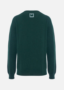 Maglione scollo V in cashmere da Uomo in colore verde