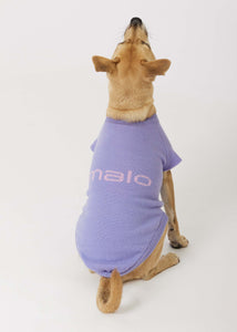 Maglioncino in cashmere Less is More, lilla, unisex